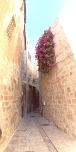 A litle further down the street/alley, looking back at it.  Those flowers were all over Jerusalem.  Gorgeous.
